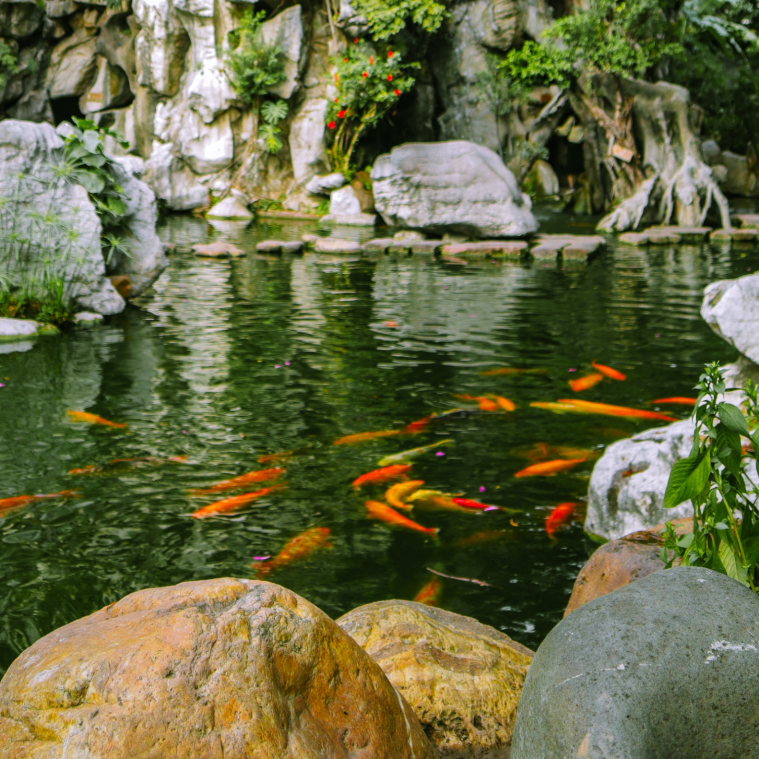 Pond Ambience